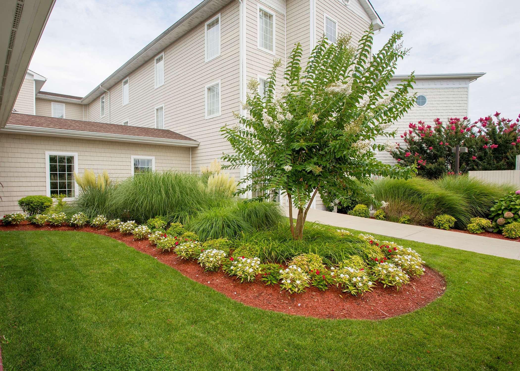 Hampton Inn & Suites Chincoteague-Waterfront, Va Ngoại thất bức ảnh